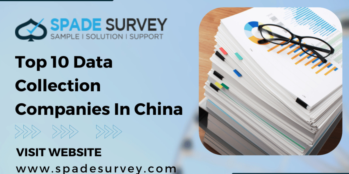 Top 10 Data Collection Companies in China