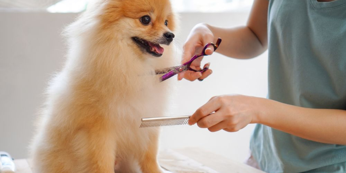 Pet Grooming Market Analysis Huge Growth with Economic Aspects, Development Prospects, and Revenue Estimate
