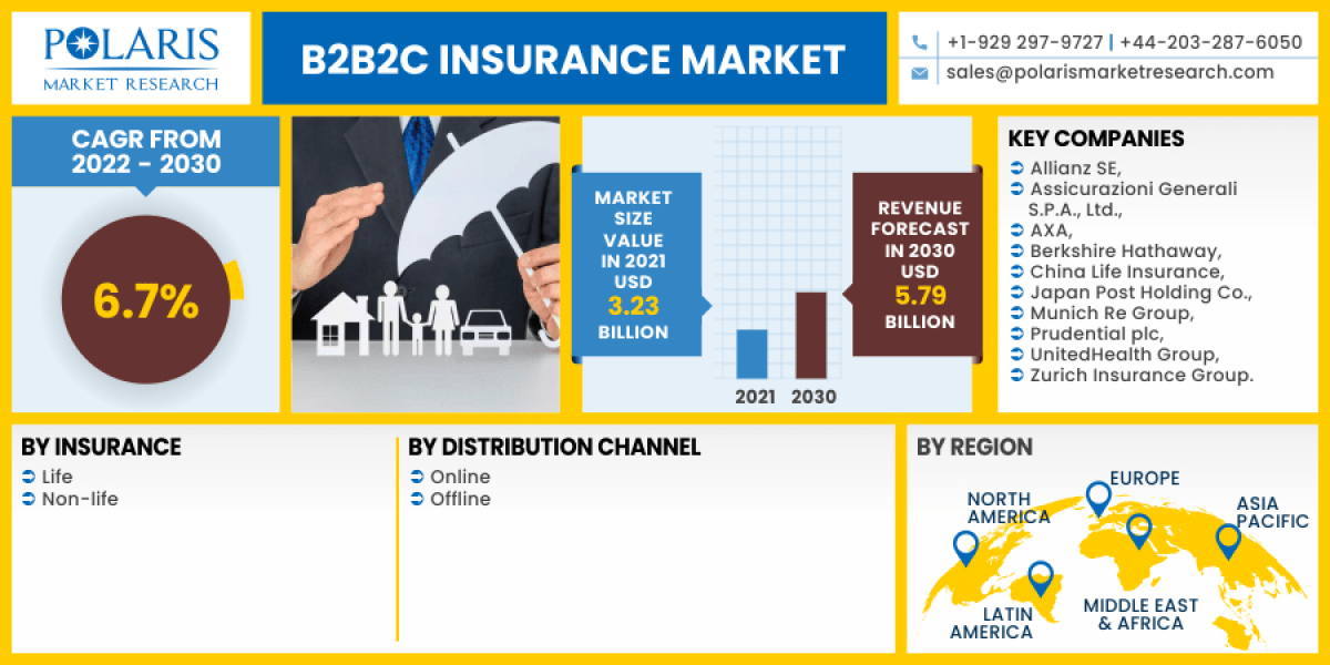B2B2C Insurance Market Growing Strong: Current and Future Prospects 2023