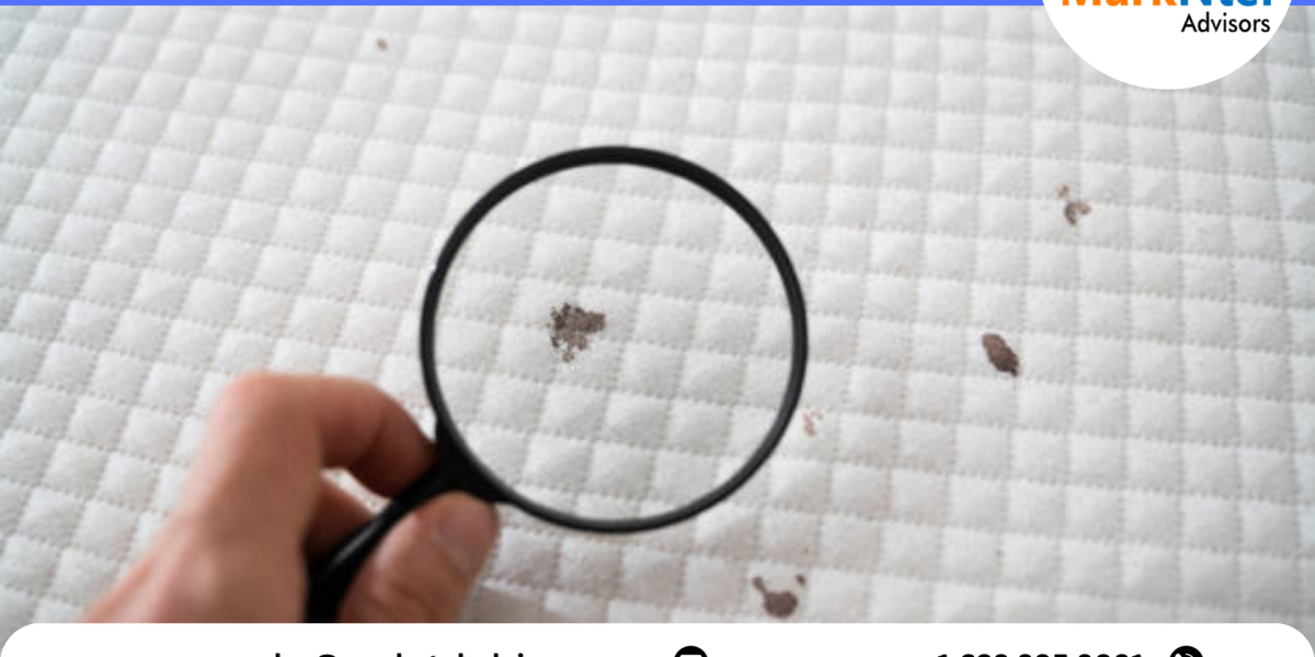 Southeast Asia Antimicrobial Coatings Market Growth: Size, Share, and Future Scope