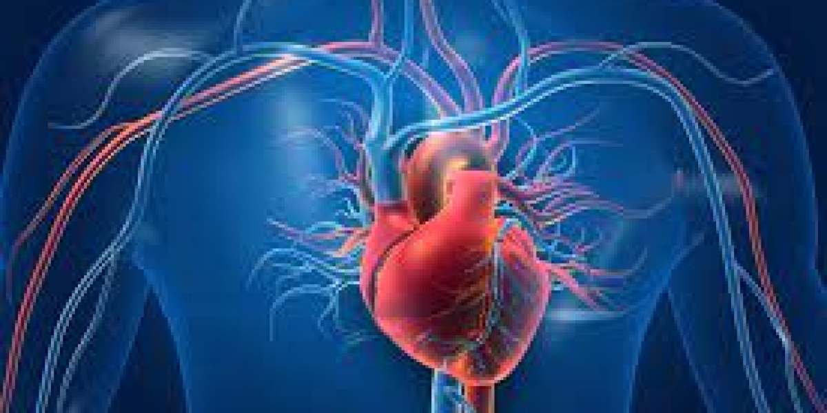 2023, Acute Coronary Syndrome Market | Industry Analysis Till 2033