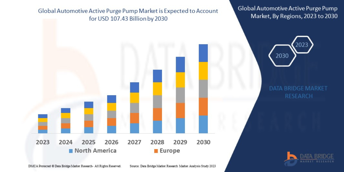 Automotive Active Purge Pump Market Industry Demand, Growth Analysis and Forecast by 2030.