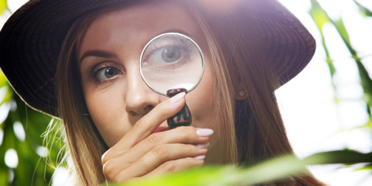 Exploring Mobile Alabama: A Comprehensive Guide to Weather, Hotels, Activities, and More