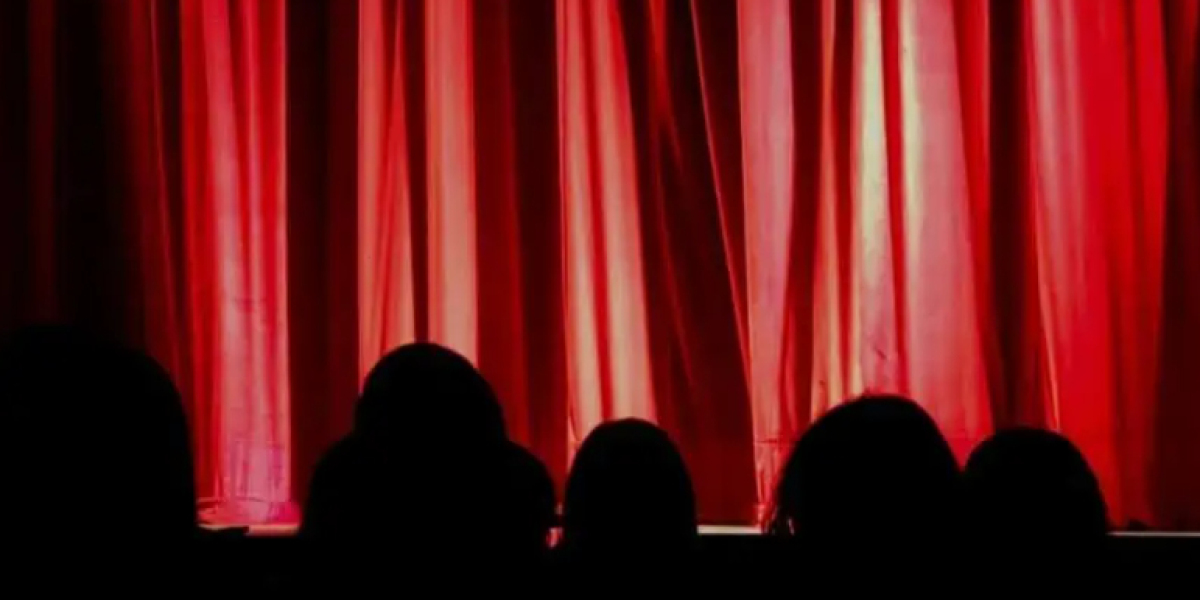 Representing Realities: The Significance of Diversity in Comedy Shows