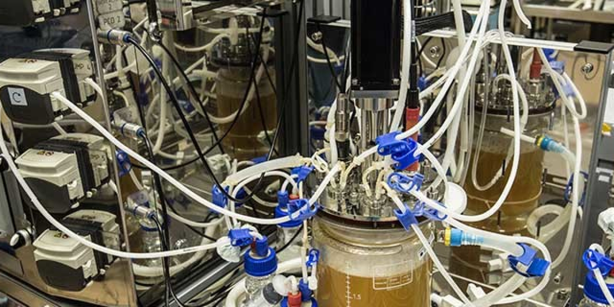 Global Survey on Japan Single-Use Bioprocessing Products Market 2022-2032