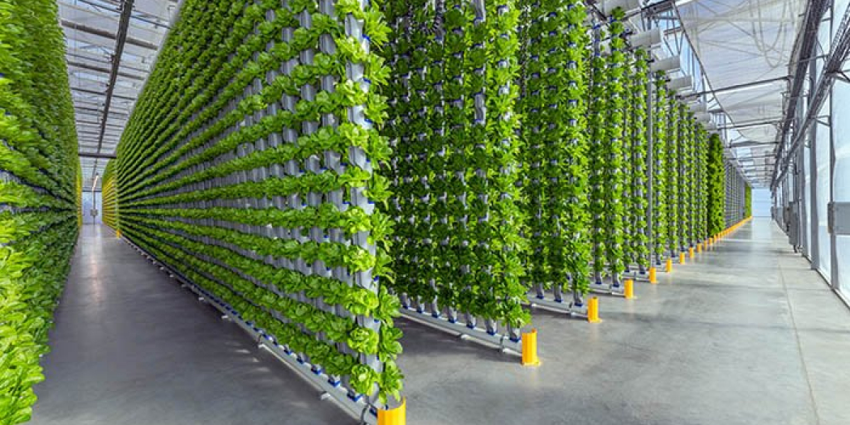 Vertical Farming Market Trends, Share, Growth, Key players, and Forecast 2023-2028