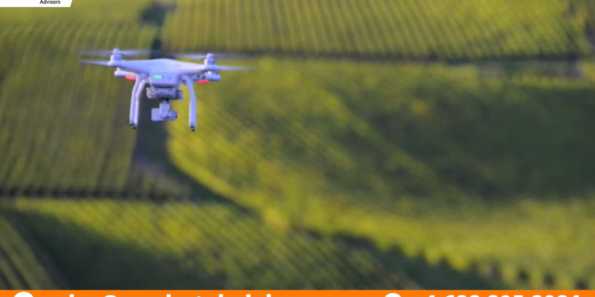 Global Utility Drone Market in the Military: Enhancing Combat Capabilities, Trends, Growth