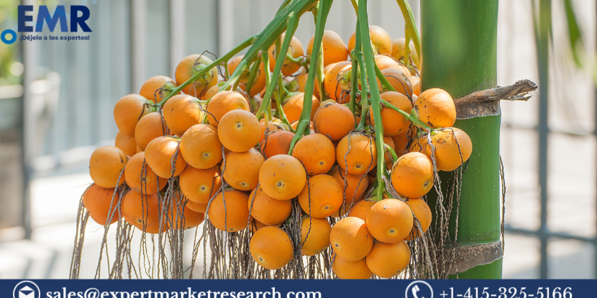 Global Areca Nut Market Size To Increase At A CAGR Of 4.50% In The Forecast Period Of 2023-2028