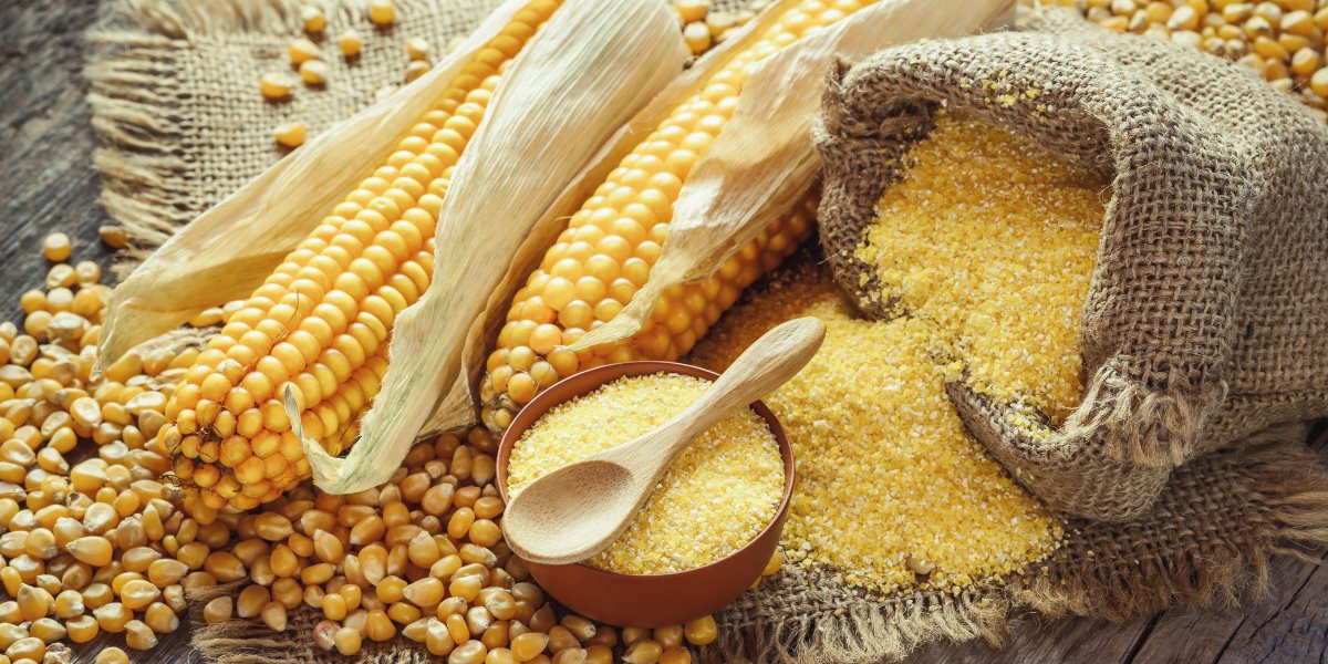 Detailed Project Report on Maize Processing Plant 2023 | Syndicated Analytics