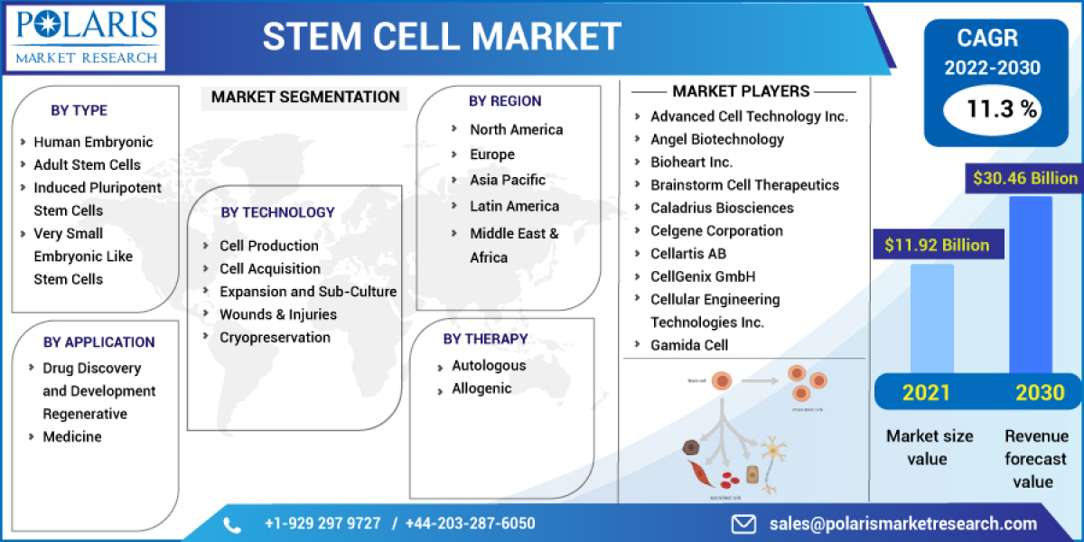 Stem Cell Market Analysis, Growth Rate, Business Opportunities and Competitive Landscape