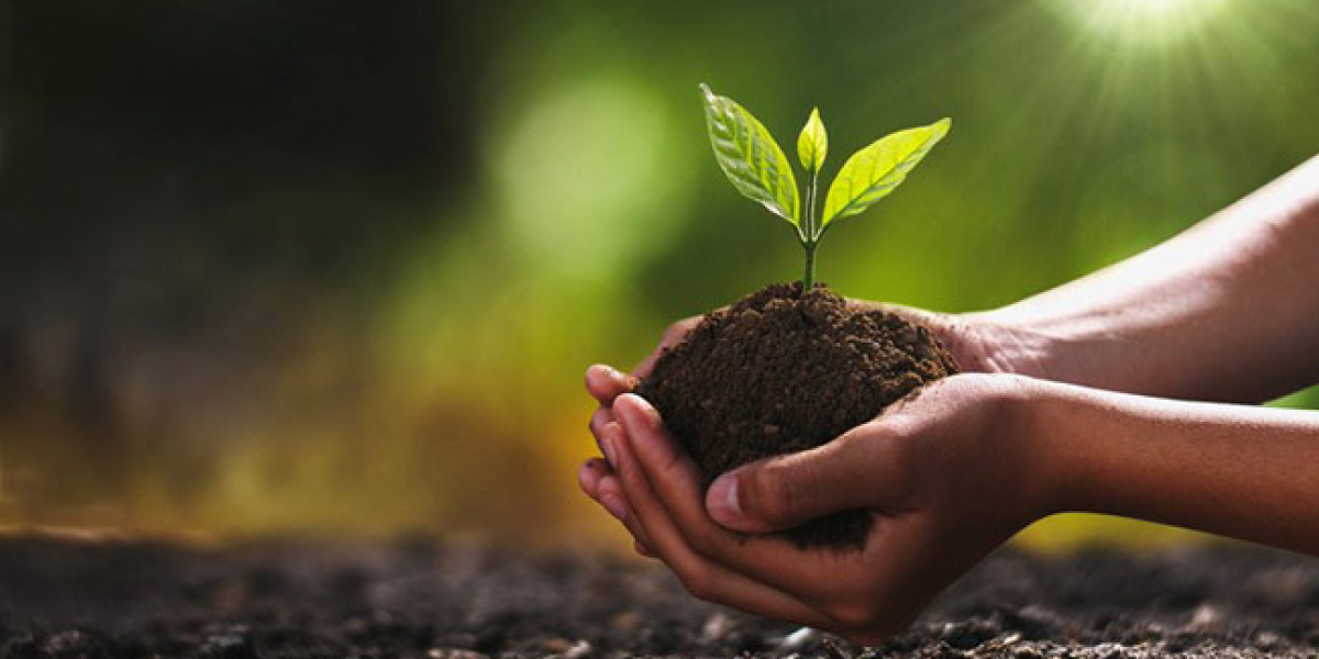 Project Report on Organic Manure Manufacturing Plant 2023-2028: Manufacturing Process, Plant Setup | Syndicated Analytic