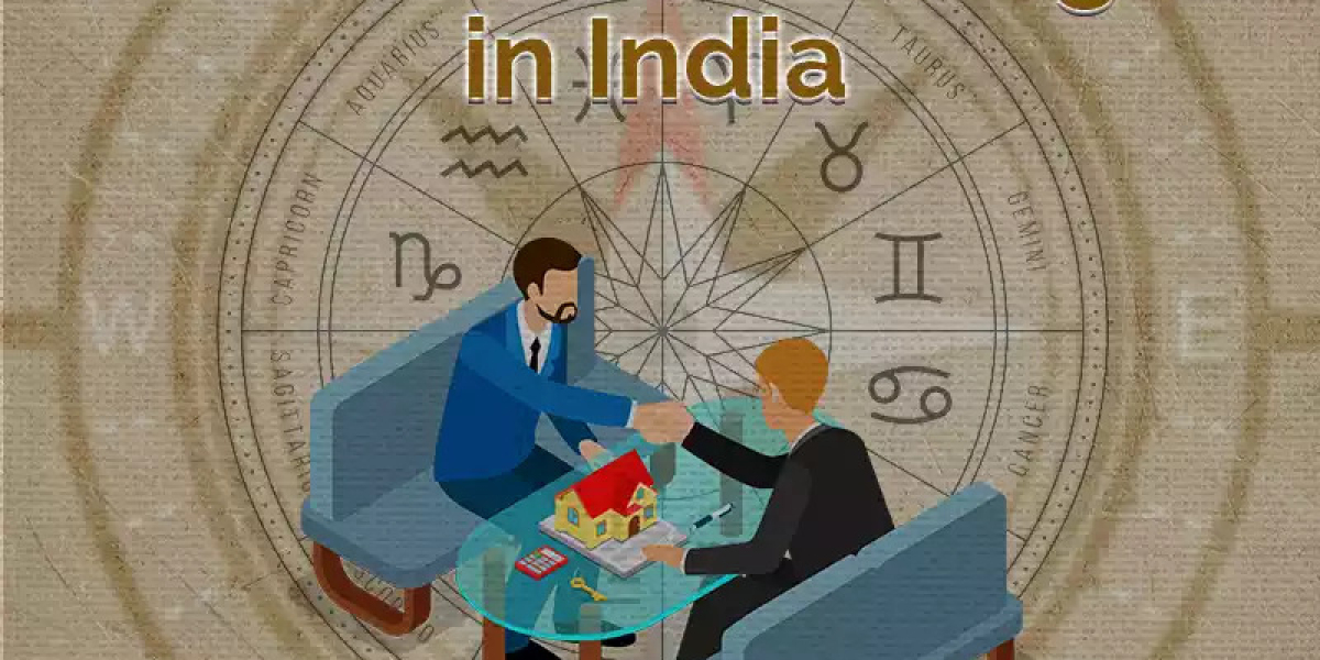 Certified Vastu Astrologer: Knight in Shining Armor