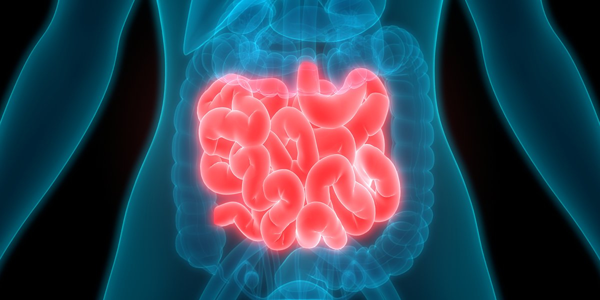 Global Carcinoid Tumor Market Share Emergence 2023-2032, Insights on Industry Size & Growth