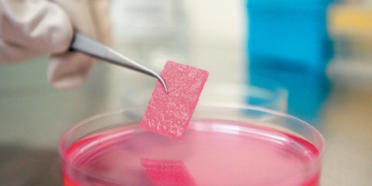 Global Tissue Engineering Market Is Estimated to Witness High Growth Owing to Increased Demand for Regenerative Medicine