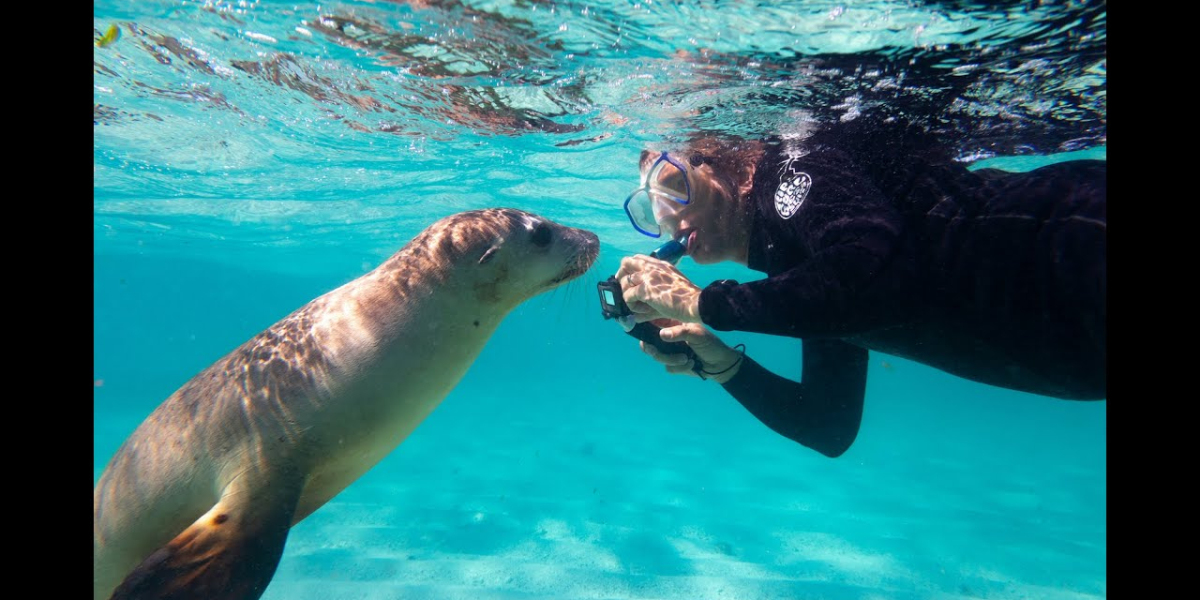 Navigate the Stunning Adventure of the Sea of Cortez in our Luxury Sailing Charter and Catamaran in La Paz