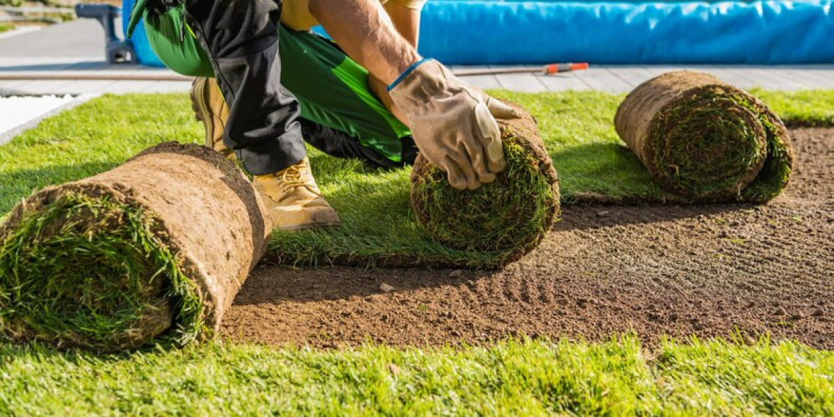 Discover the Best Artificial Lawn Company in London