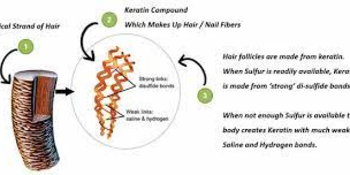 Keratin Market Overview, Forecast and Scope2023-2030: AMR