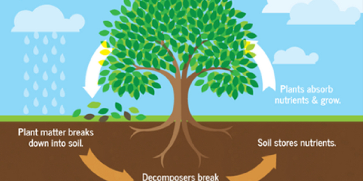 Global Nutrient Recycling Market Is Estimated To Witness High Growth Owing To Increasing Focus on Sustainable Agricultur