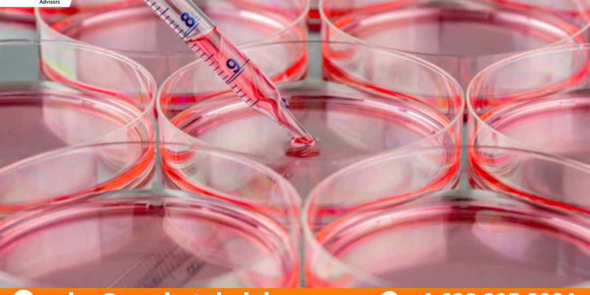 The Business of Global Cell Culture Market: Investment Opportunities and Challenges