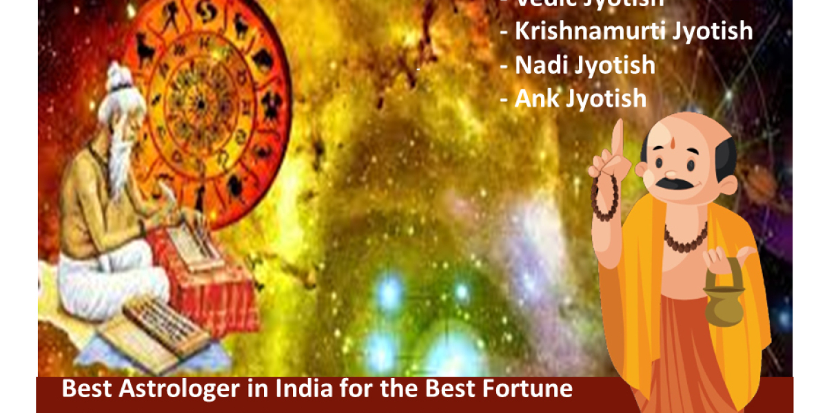 Top career astrologer in Delhi