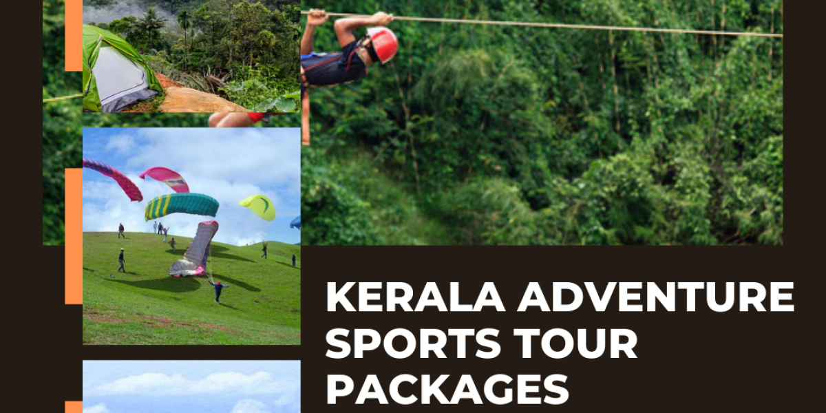 Embrace the Enchantment of Kerala with Lock Your Trip's Exclusive Tour Packages
