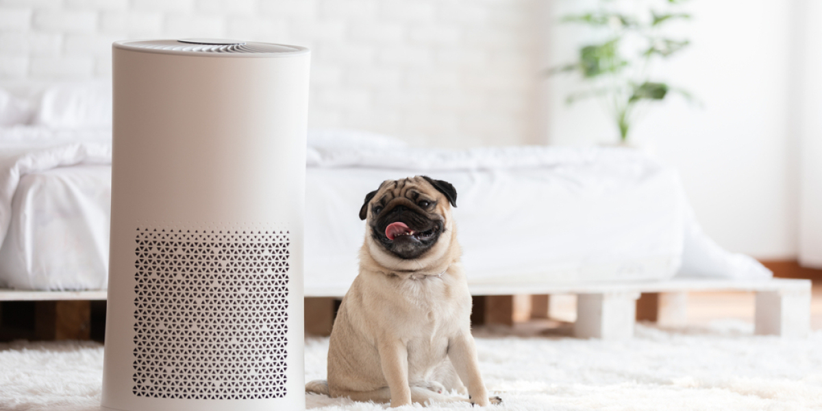 Celebrating Pet Companionship: Enhance Air Quality with Top Air Purifiers for Pets in Singapore