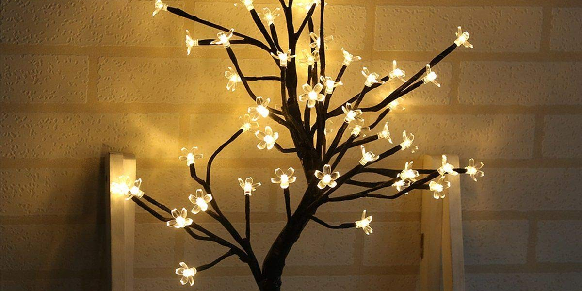 Shining Innovations: The Science Behind Bonsai Bright's Lighting