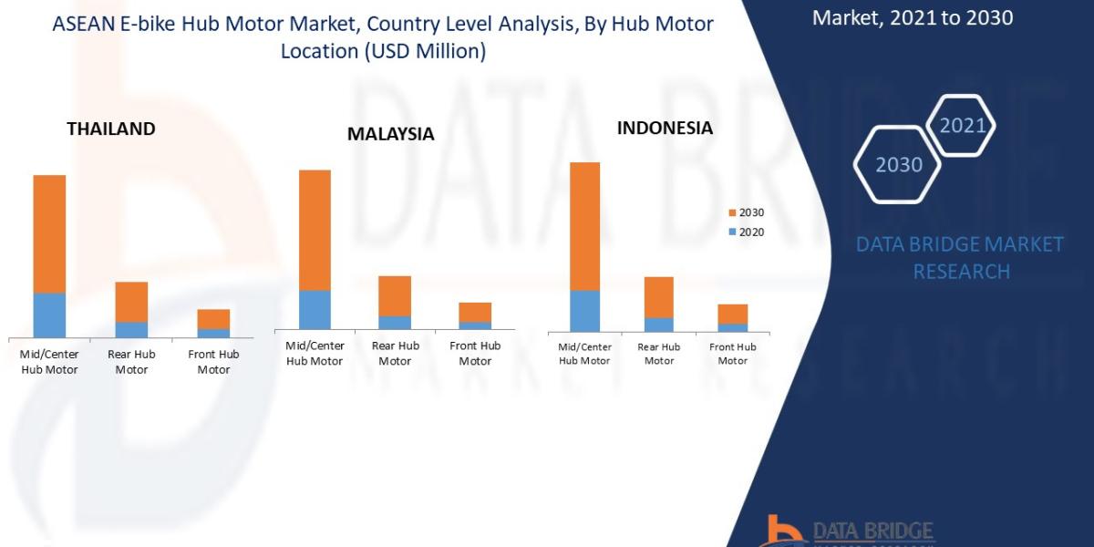 ASEAN E-Bike Hub Motor Market Industry Size, Share Trends, Growth, Demand, Opportunities and Forecast by 2030.