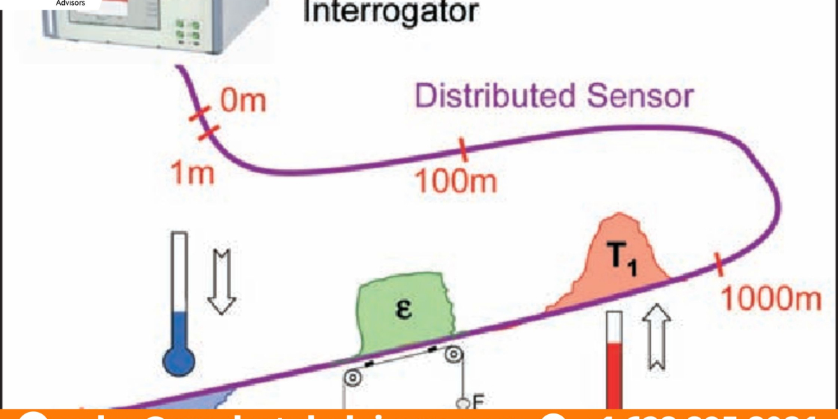 The Business of Global Distributed Fiber Optic Sensor Market: Investment Opportunities and Challenges