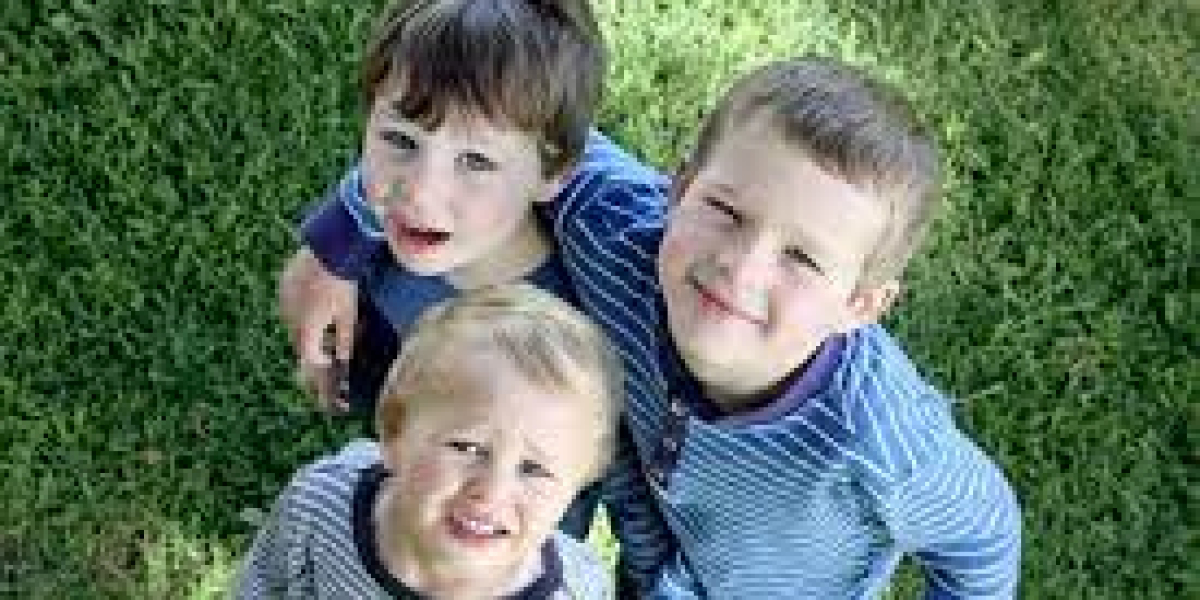 Doose Syndrome Market Size and Growth Rate Analysis for 2023-2033| by IMARC Group