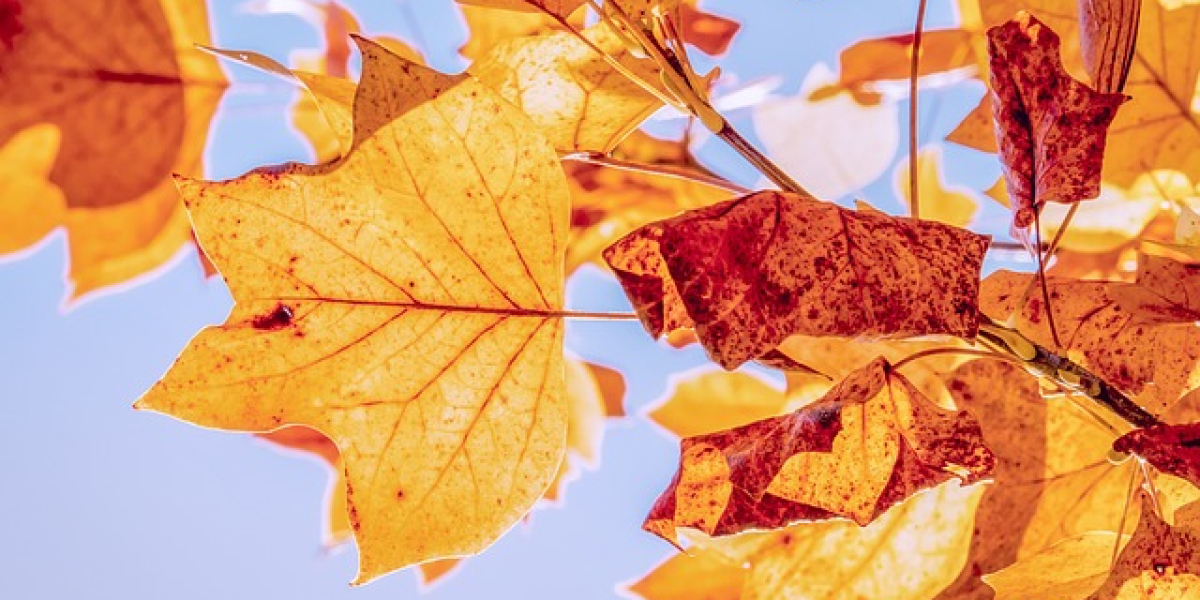 New concepts of sex: creative applications of sex toys