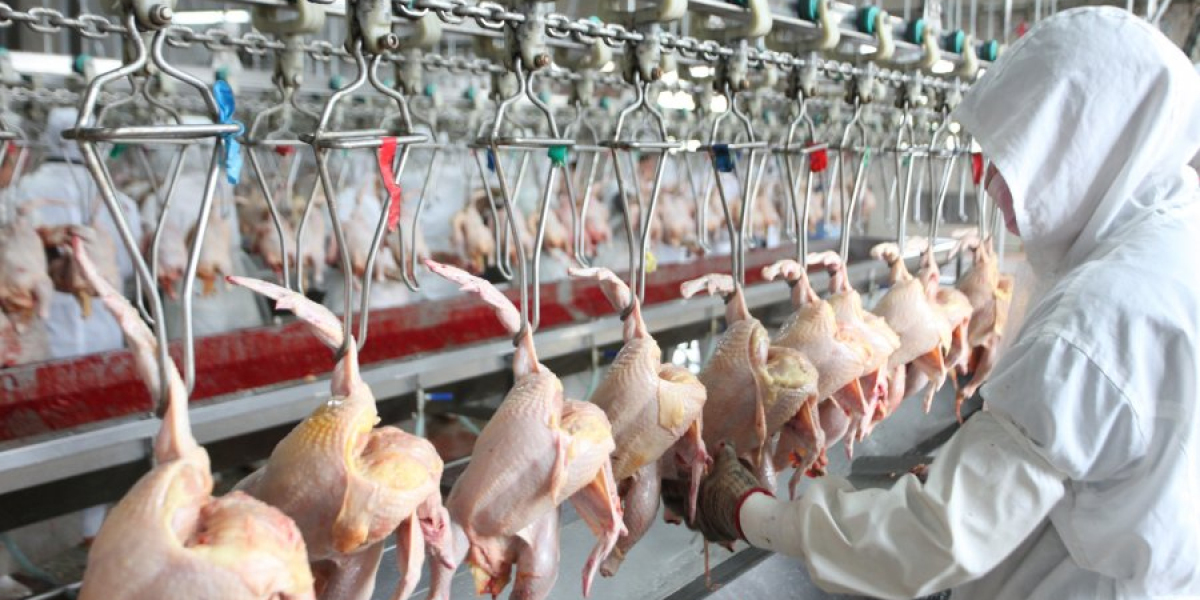 Slaughtering Equipment Market set to grow by CAGR of 4.98%, says report