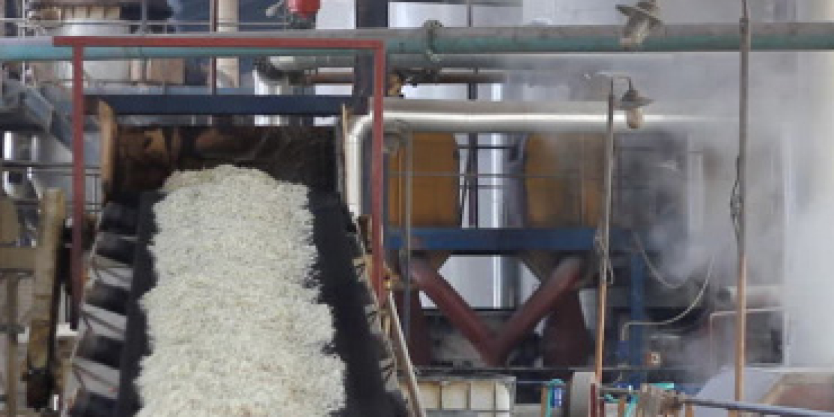Project Report: Setting up a sugar manufacturing unit plant