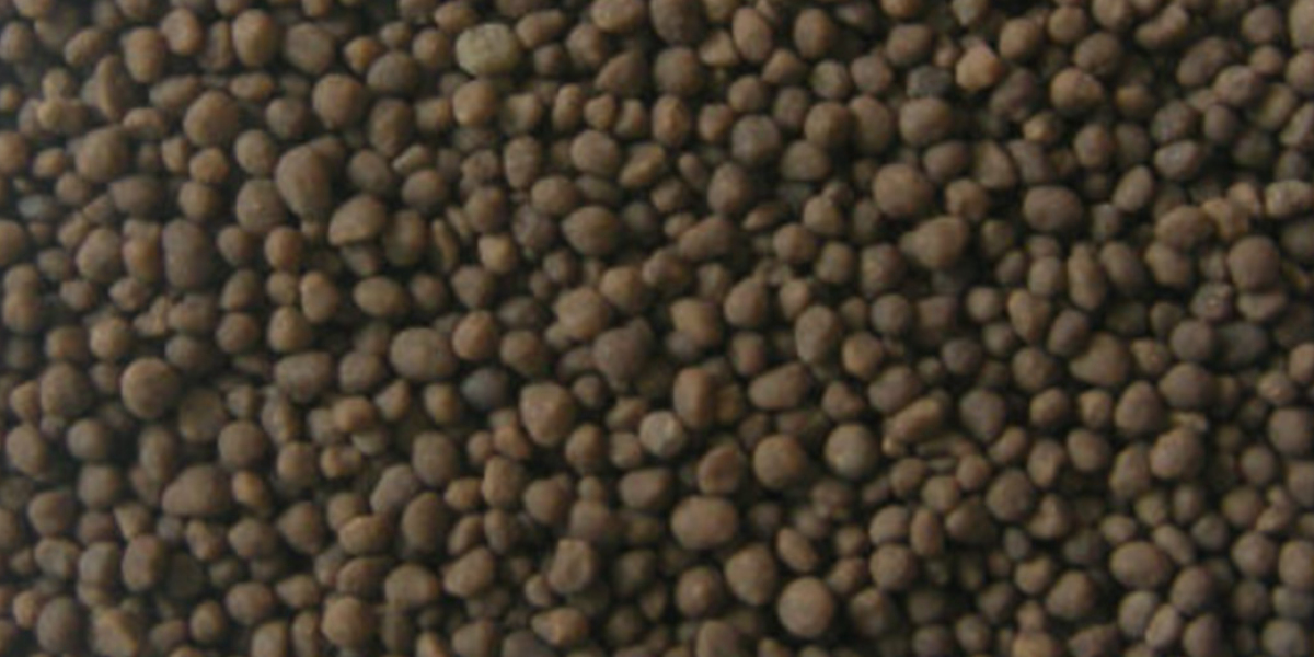 Di-Ammonium phosphate manufacturing Project Report 2023 Edition