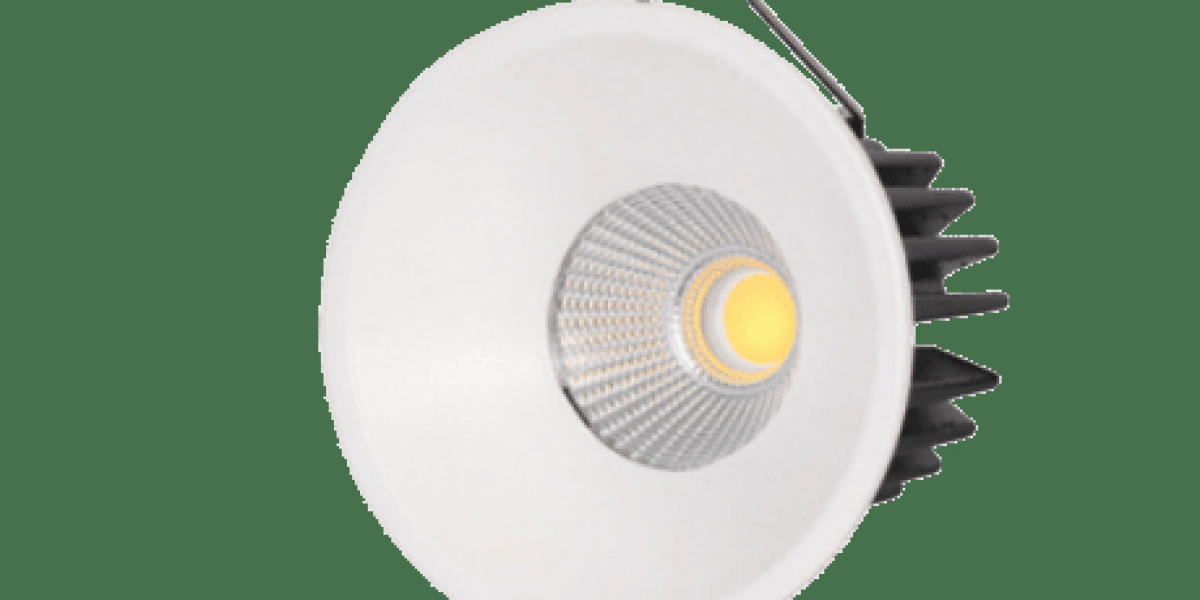 Dominating the LED Lighting Industry in India: Alienenergy's Illuminating Journey