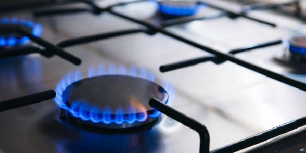 United States Gas Ranges Market Share & Trends Analysis Report 2028F