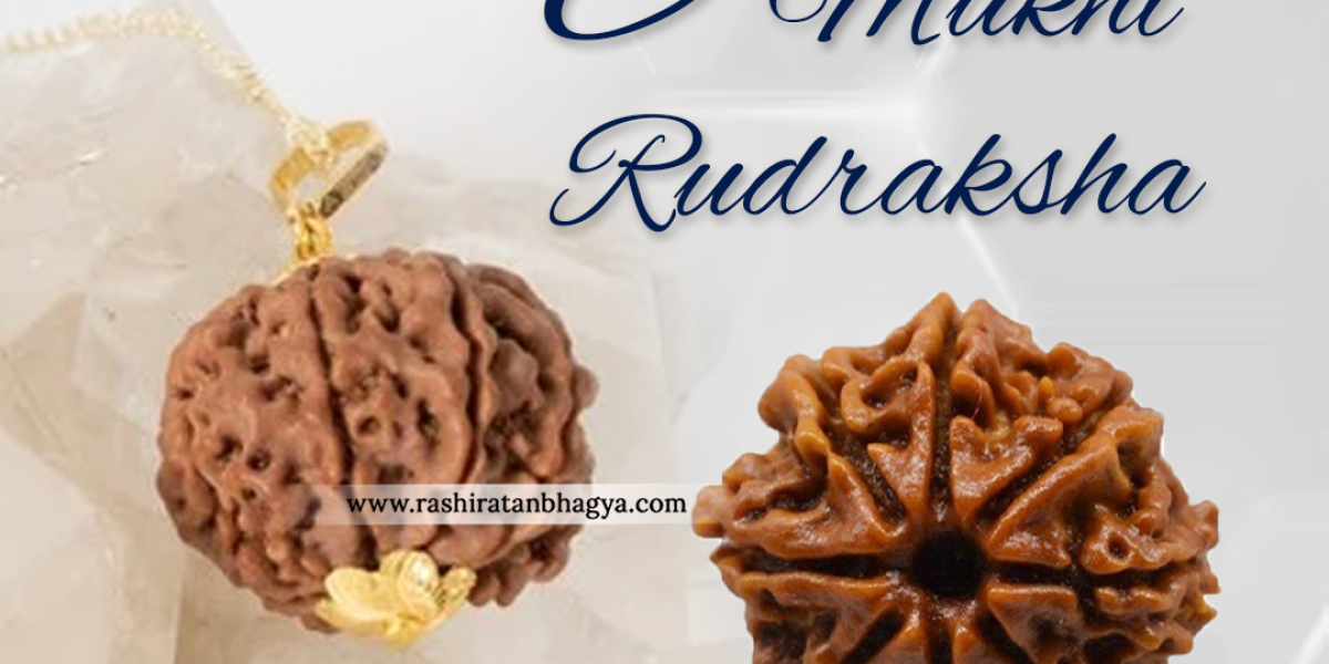 Buy 8 Mukhi Rudraksha From Rashi Ratan Bhagya At Genuine