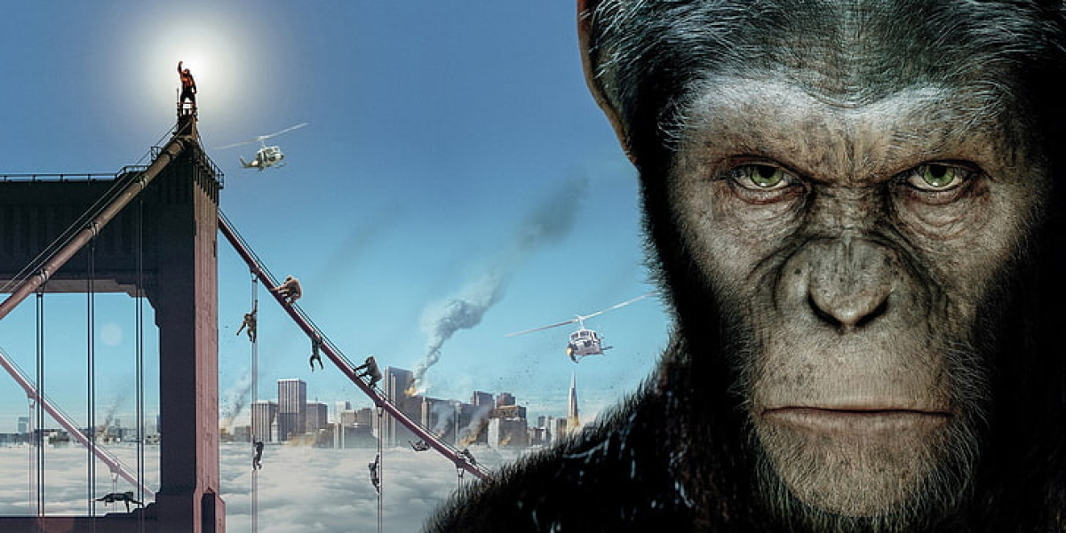 Rise of the planet of the apes
