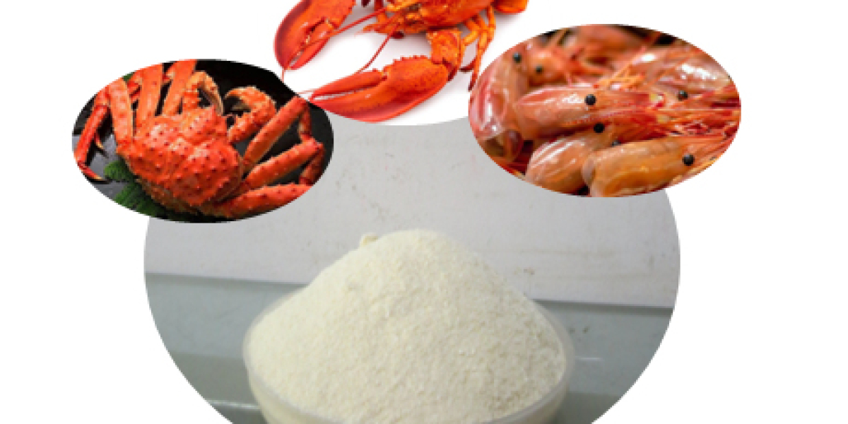 Global Chitosan Market Size, Share, and Forecast 2021 – 2030