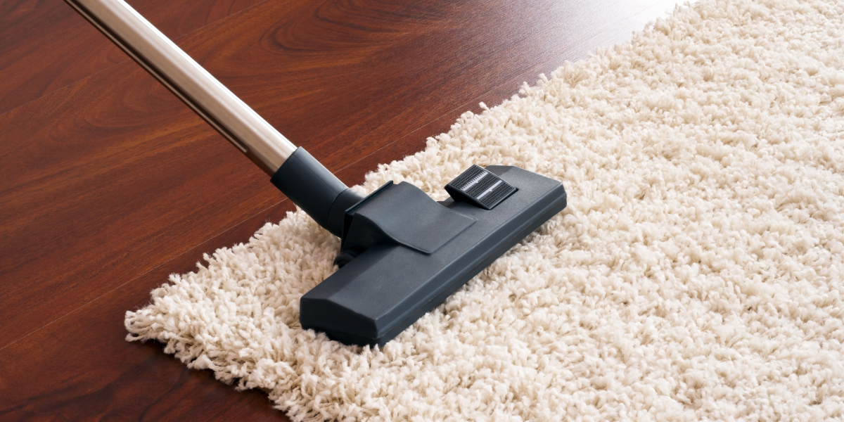 Professional Carpet Cleaning 101: Handling Common Pet-Related Carpet Issues