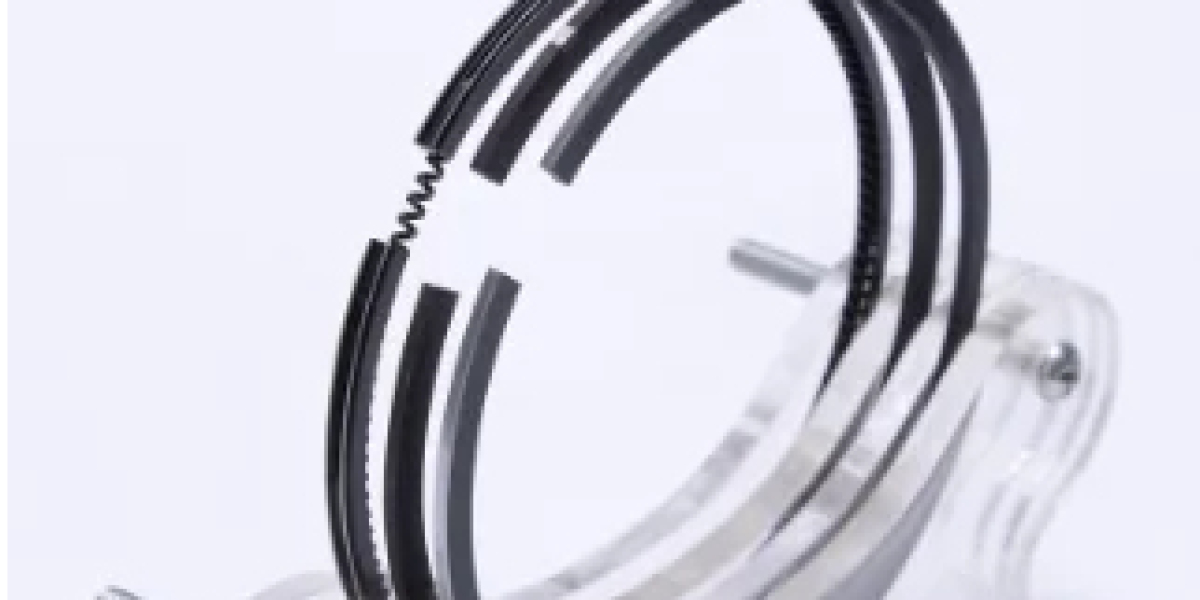 Exploring the Functionality of Single Cylinder Diesel Engine Piston Rings