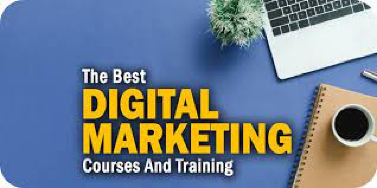 How I Get qualified In Master Digital Marketing Course Diploma