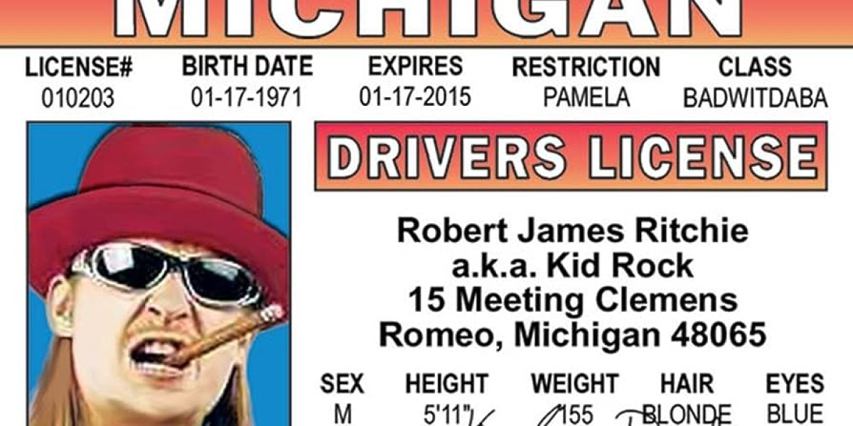 Measures Taken by the State to Combat the Production of Michigan Fake ID