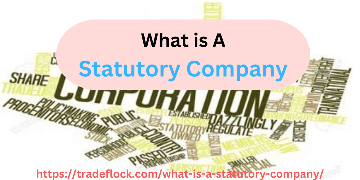 Understanding the Significance of a Statutory Company.