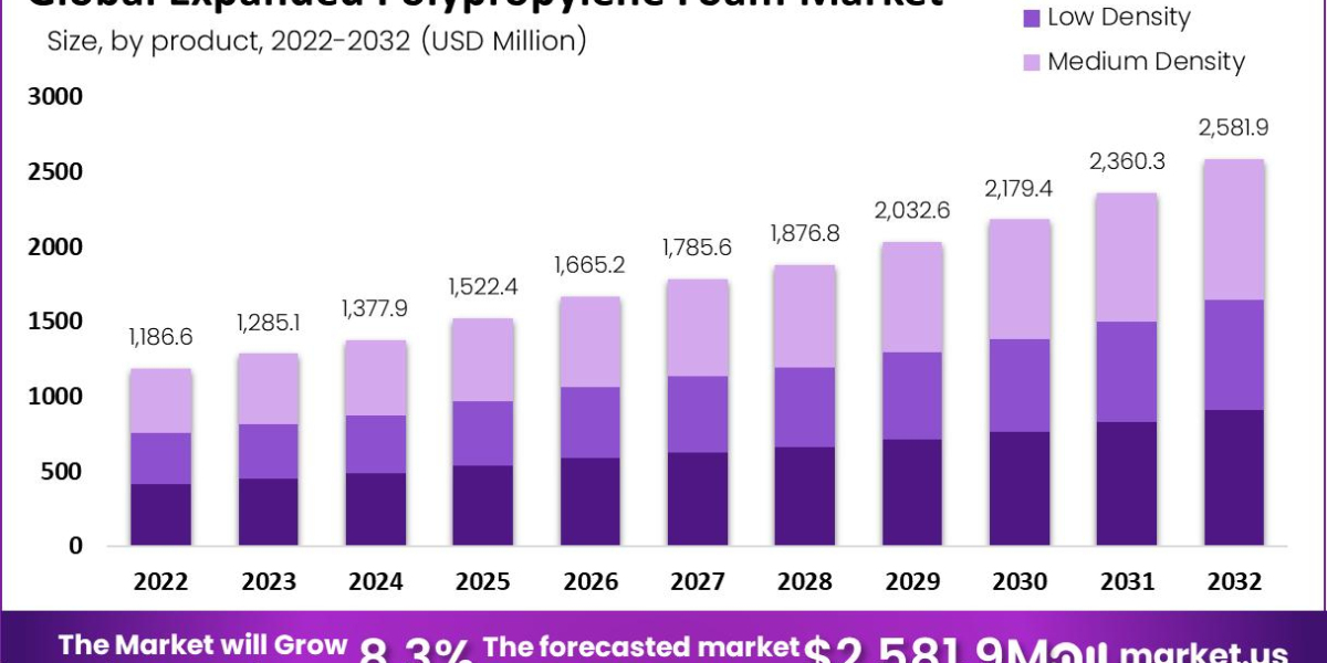 "EPP Foam Market Insights for Industry Leaders"