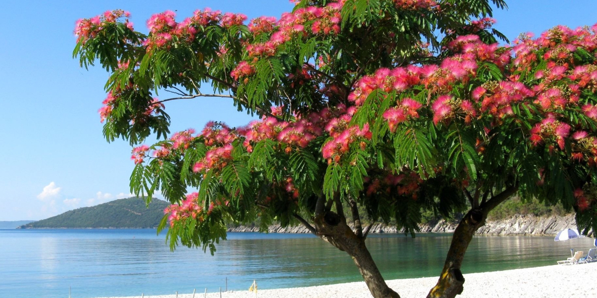 The Finest Villas in Cyprus