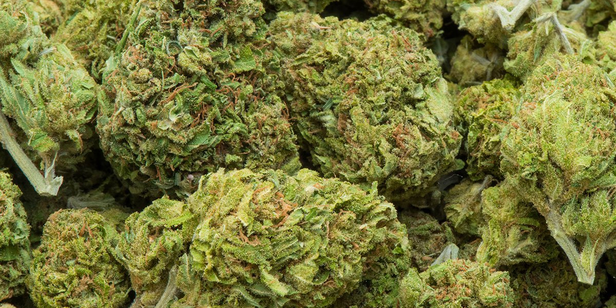 Consumer Shift: The Impact of Synthetic Cannabinoids on Wellness Products