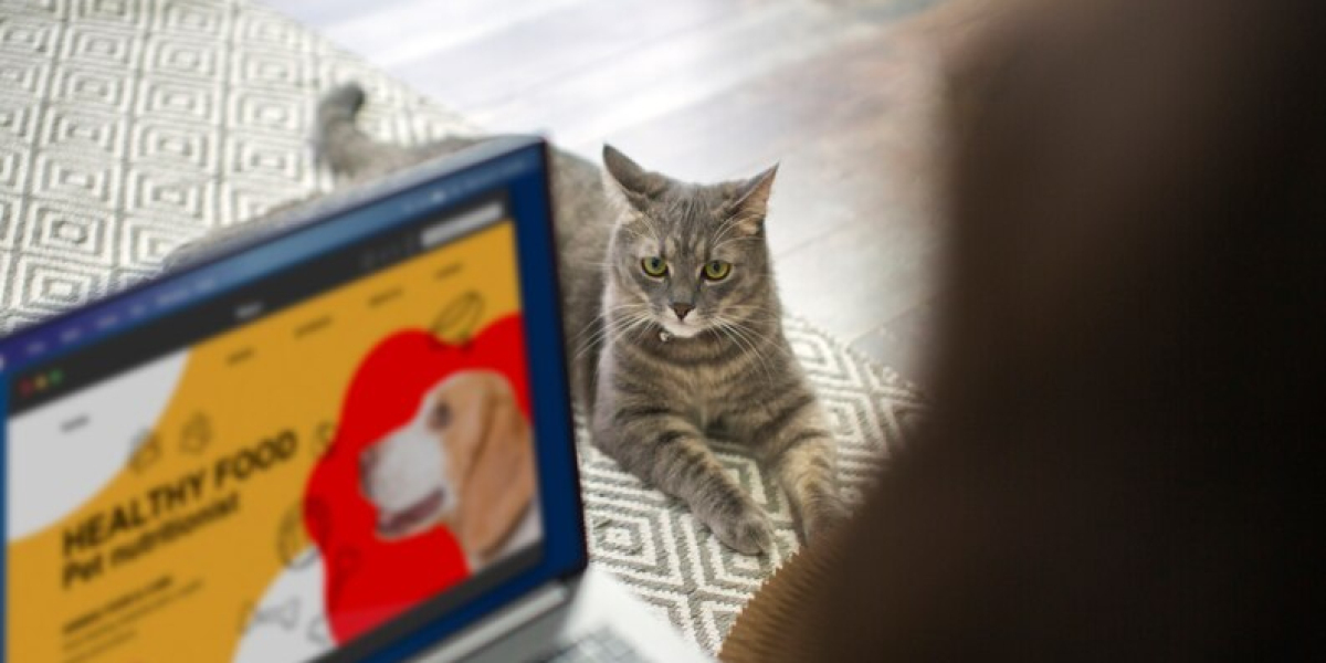 Whisker Wonderland: The Ultimate Guide to Cat TV Streaming