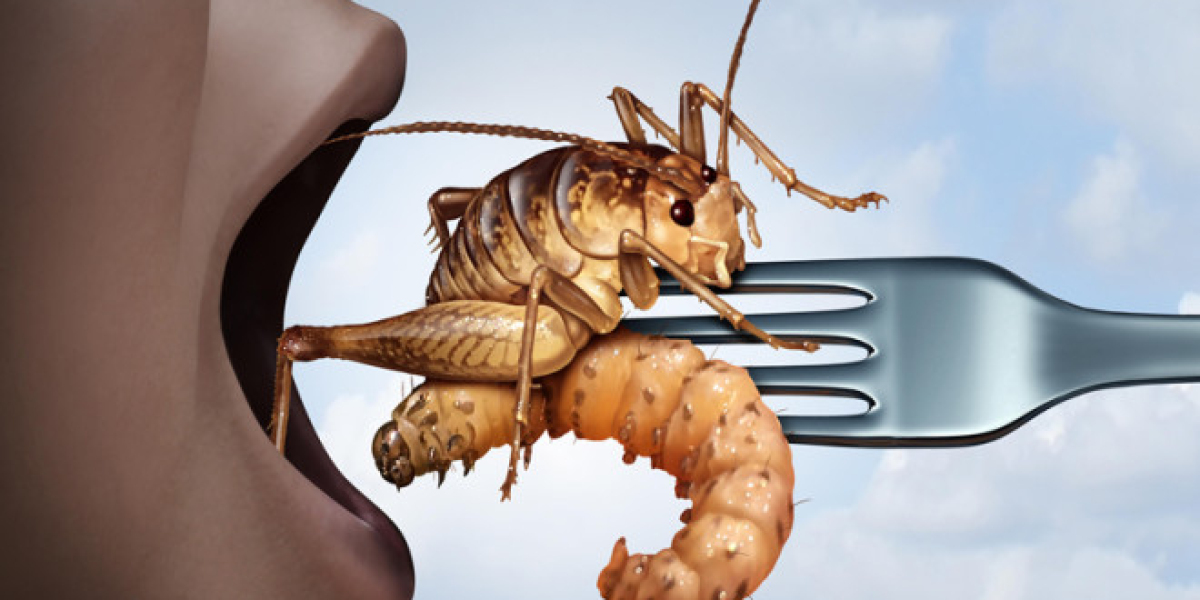 Edible Insects Market Growth 2023-2028, Industry Size, Share, Trends and Forecast