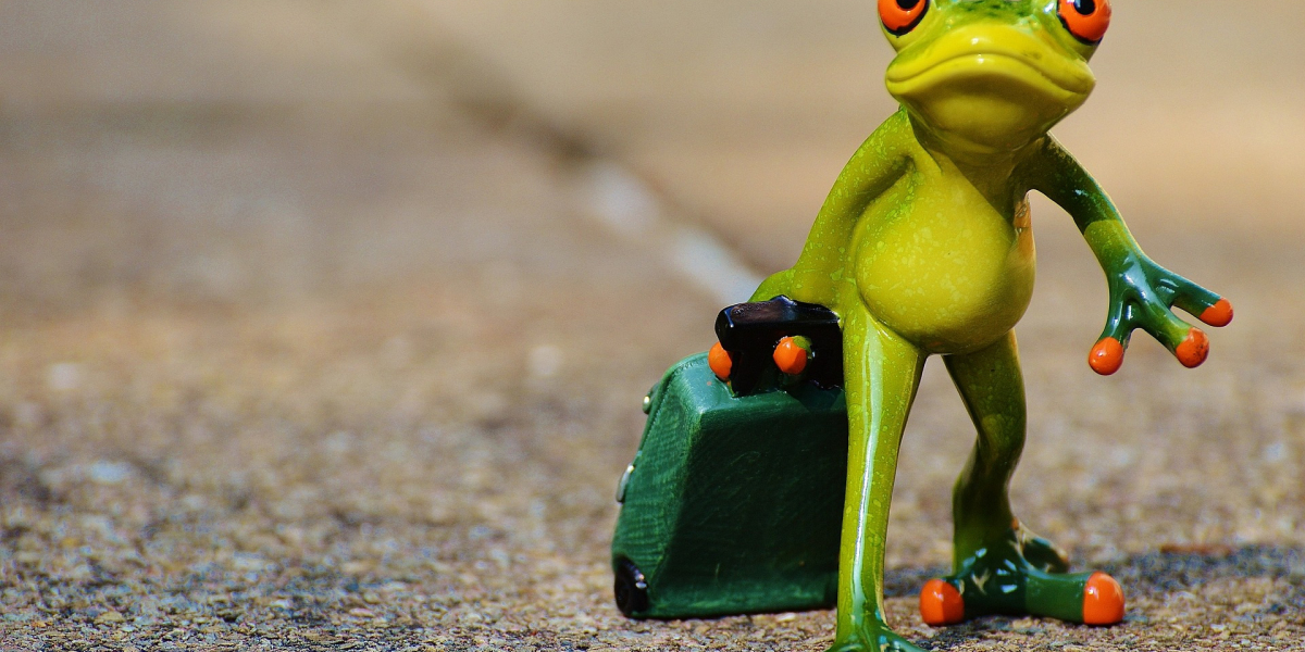 Budget-Friendly Promotional Giveaway Items That Make a Big Impact